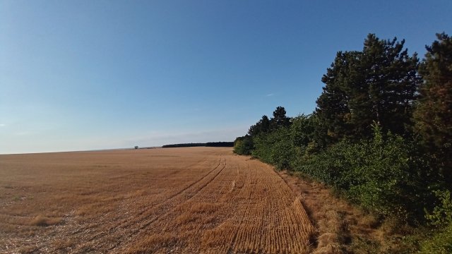 MTB '26 #1312
