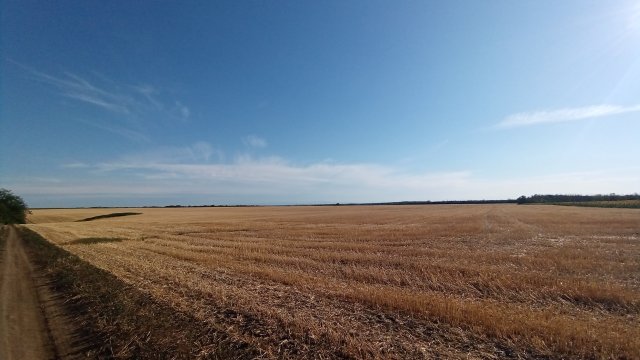 MTB '26 #1313