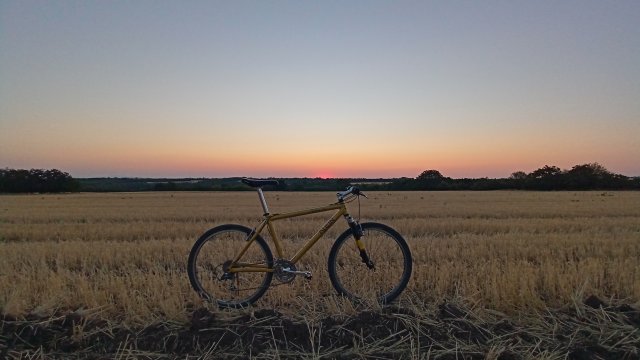 MTB '26 #1319