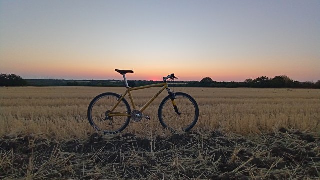 MTB '26 #1321