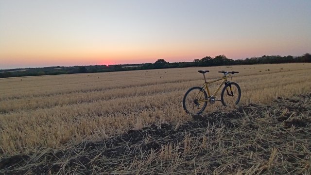 MTB '26 #1325