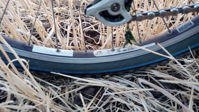 MTB '26 #1355