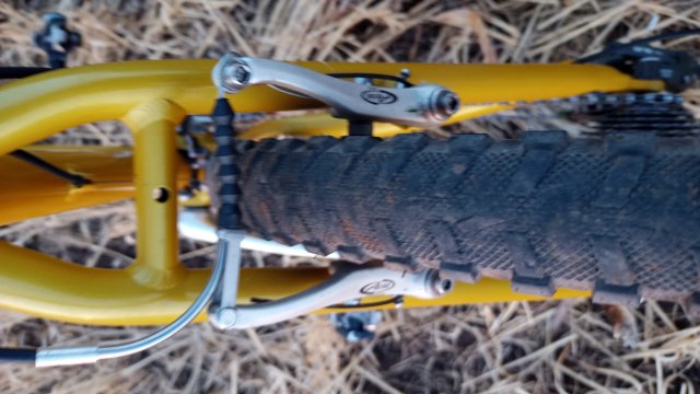 MTB '26 #1356