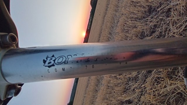 MTB '26 #1363