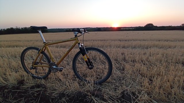 MTB '26 #1367