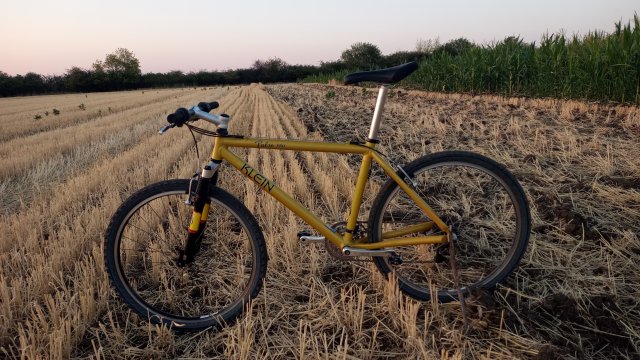 MTB '26 #1379