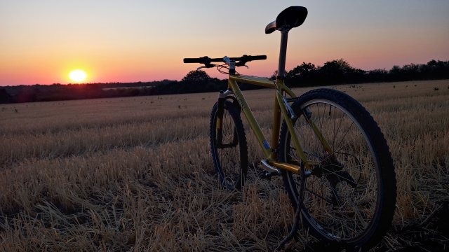MTB '26 #1381