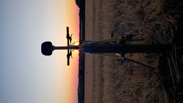 MTB '26 #1382