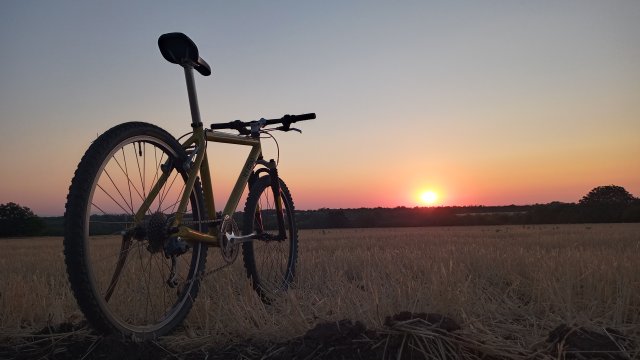 MTB '26 #1386