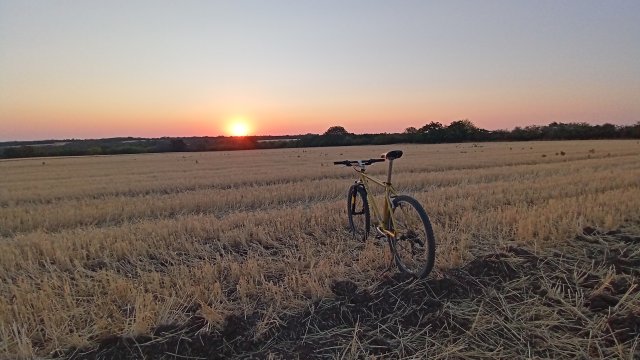 MTB '26 #1389