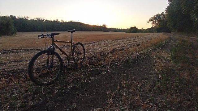 MTB '26 #1393