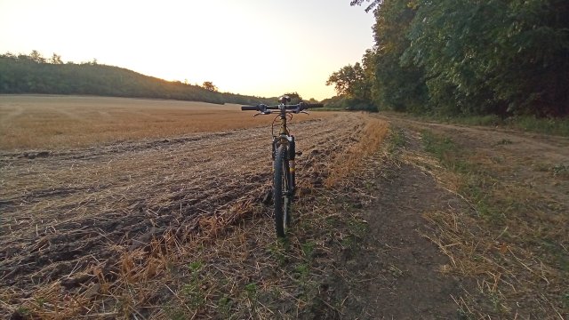 MTB '26 #1394