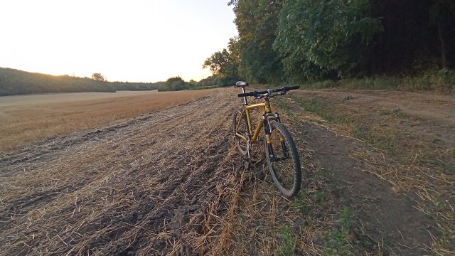 MTB '26 #1395