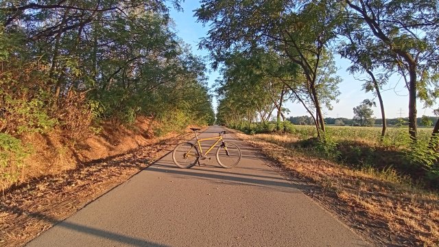 MTB '26 #1400
