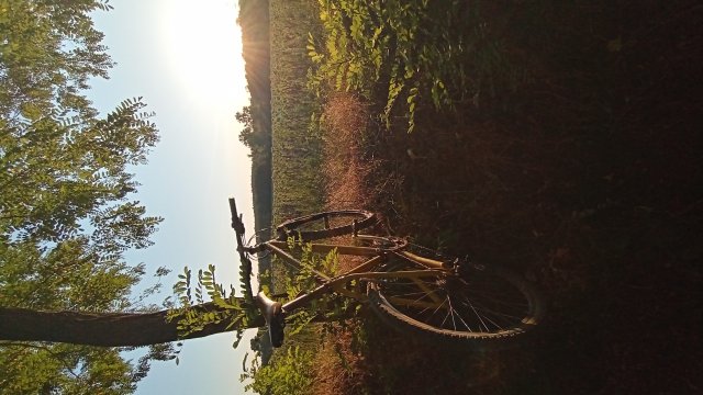 MTB '26 #1404