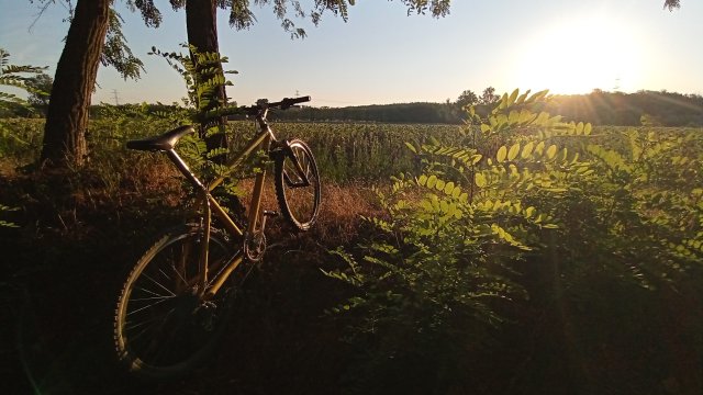 MTB '26 #1405