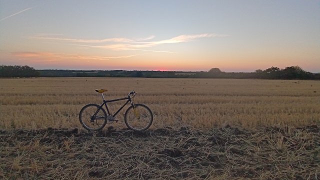 MTB '26 #1409