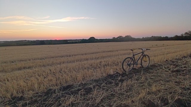 MTB '26 #1411