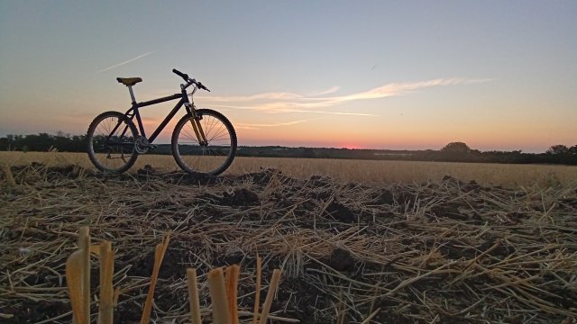 MTB '26 #1412
