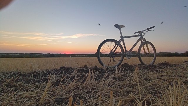 MTB '26 #1414