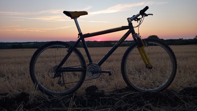 MTB '26 #1417