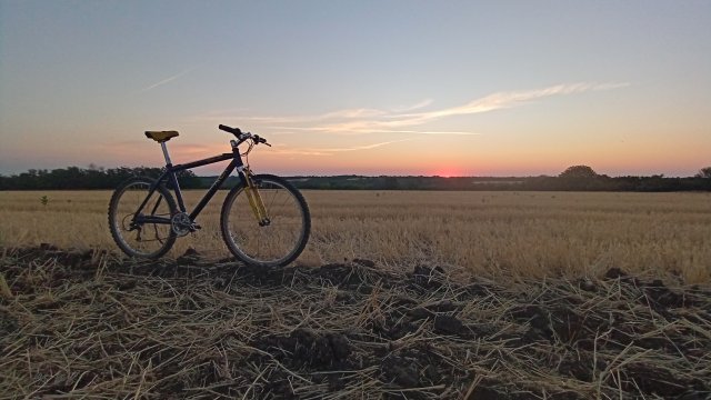 MTB '26 #1419