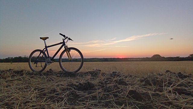 MTB '26 #1420