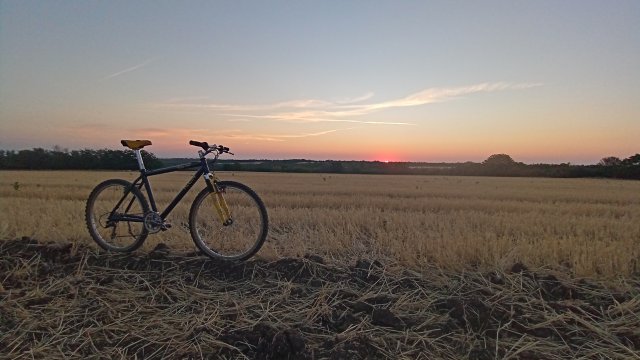 MTB '26 #1421