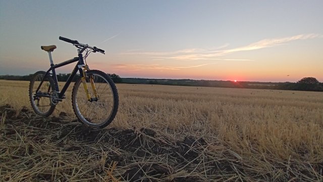 MTB '26 #1424