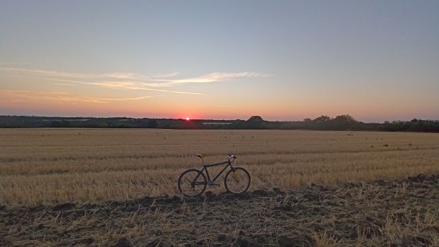MTB '26 #1425