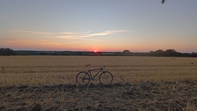 MTB '26 #1426