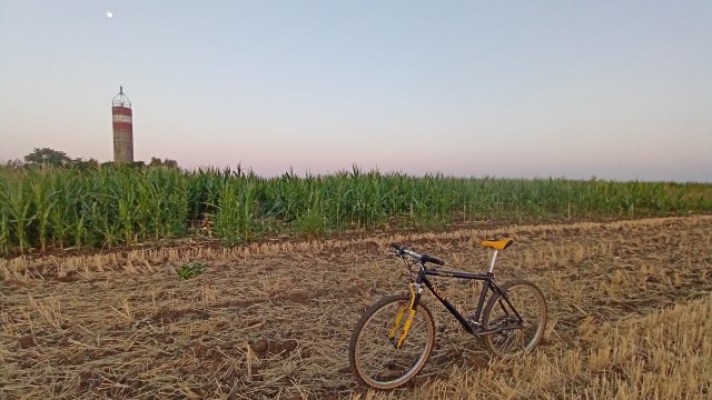 MTB '26 #1427