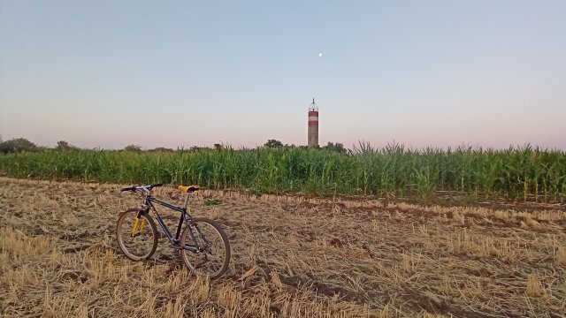 MTB '26 #1428