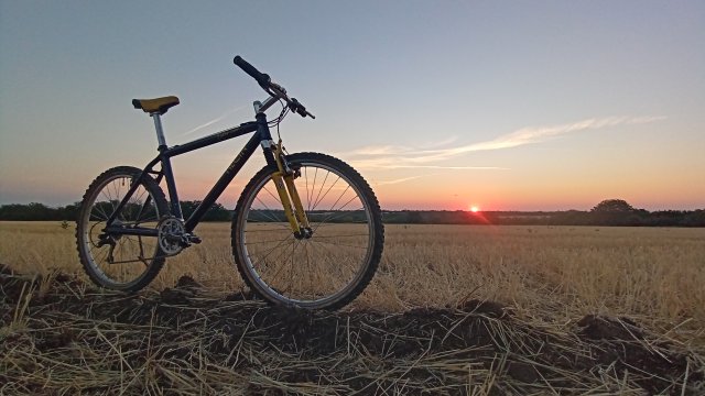 MTB '26 #1435