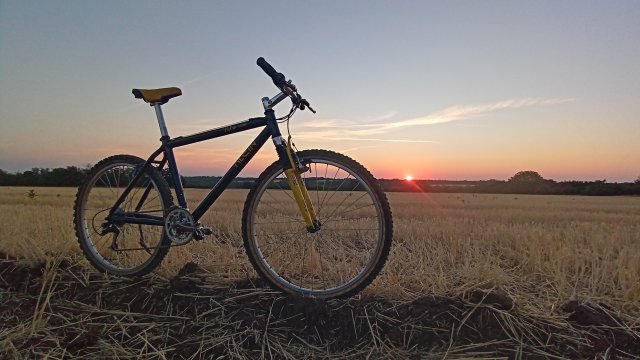 MTB '26 #1436