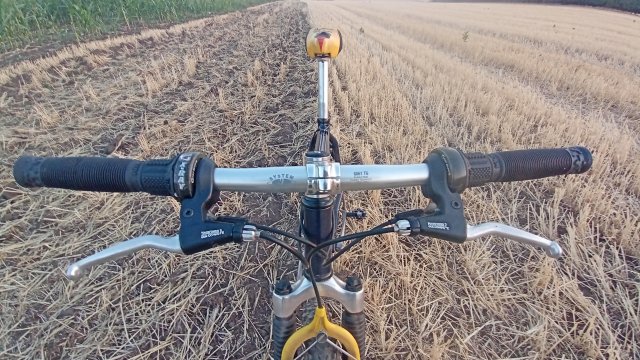 MTB '26 #1445