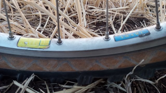 MTB '26 #1450