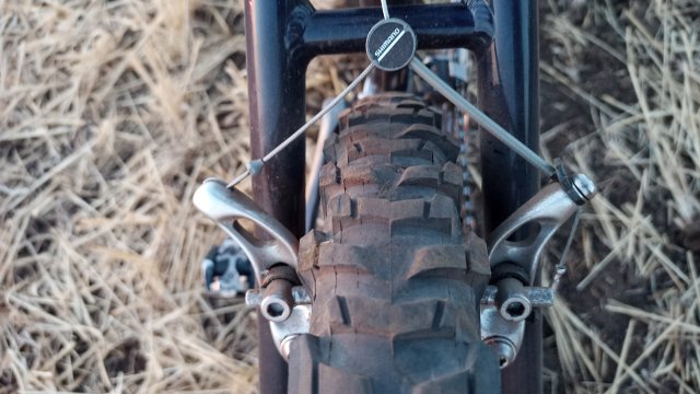 MTB '26 #1454