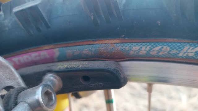 MTB '26 #1456
