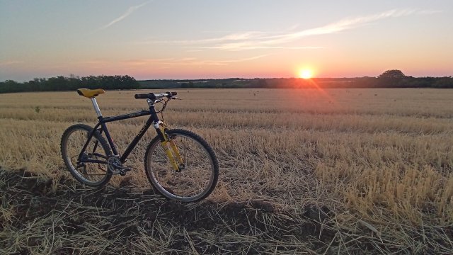 MTB '26 #1473