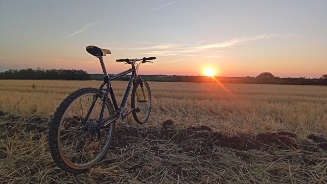 MTB '26 #1479