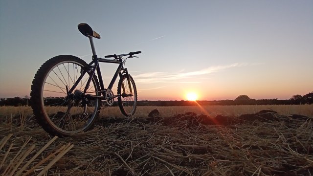 MTB '26 #1480