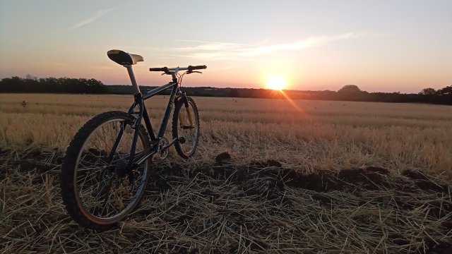 MTB '26 #1482