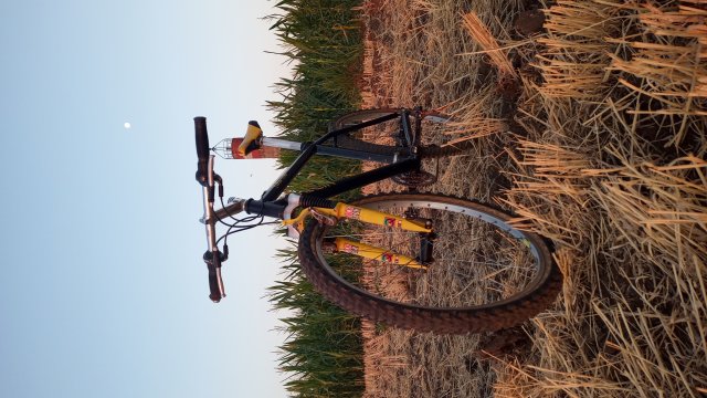 MTB '26 #1488