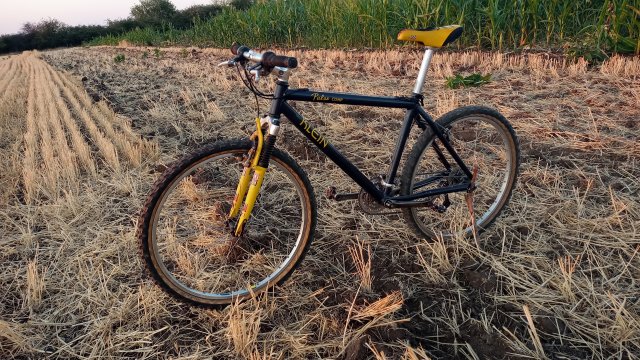MTB '26 #1489
