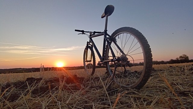 MTB '26 #1496