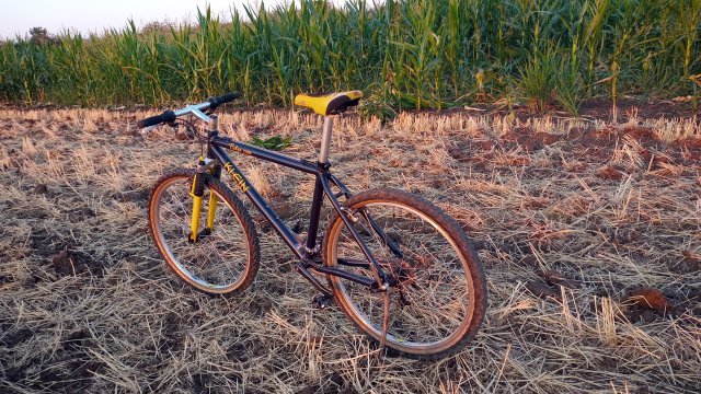 MTB '26 #1501
