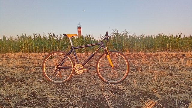 MTB '26 #1504