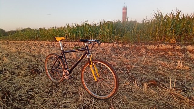 MTB '26 #1505