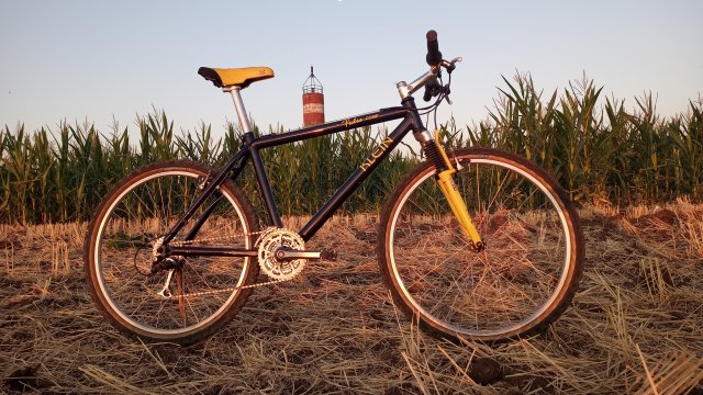 MTB '26 #1508